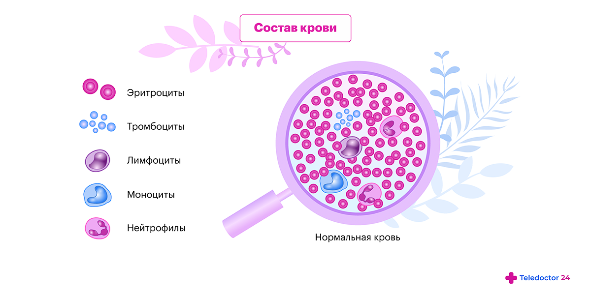 Почему снижены нейтрофилы. Лейкоциты у детей.