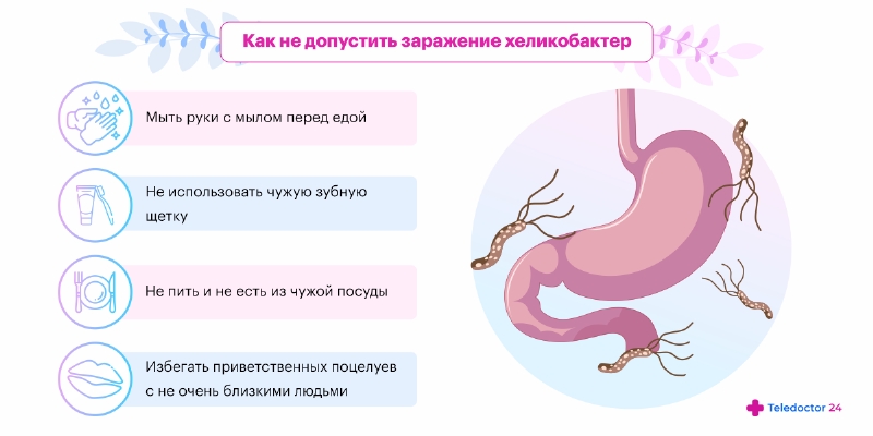 Топ 14 трав для лечения желудка и их использования при разных болезнях
